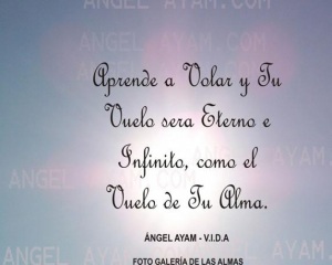 Frases de Angel Ayam